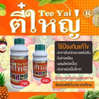 กำจัดเพลี้ยไฟไรแดง ตี๋ใหญ่ 1000 cc