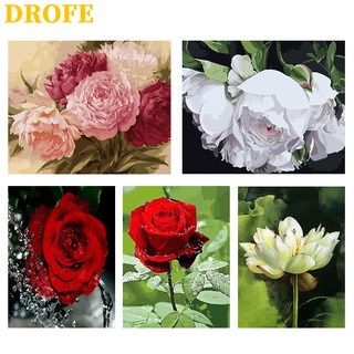 DROFE 【ขนาด : 50X40 ซม】~ดอกโบตั๋นดอกบัว~ พร้อมส่งภาพระบายสีตามตัวเลขของขวัญDIY / paint by number / บ้านตกแต่ง / ตามหมายเลข / ภาพวาด DIY/ จิตรกรรมดิจิทัล / การวาดภาพดิจิทัล