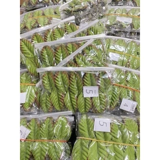 ใบไม้ผ้า ใบกุหลาบ แพ็คละ 100 ใบ(10มัด)