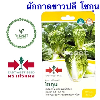 เมล็ดผักกาดขาว(ปลี) โชกุน ศรแดง ซองแข็ง 150 เมล็ด ผักสวนครัว