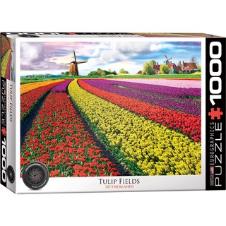 EUROGRAPHICS: TULIP FIELDS - NETHERLANDS [Jigsaw Puzzle]