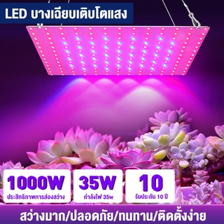 MiMi 🌟 พร้อมส่ง 🌟【การจัดส่งที่รวดเร็ว】 ไฟปลุกต้นไม้  Full Spectrum LED Grow Light 600W มีสวิตช์ปิดเปิด LM281B ช่วยต้นไ