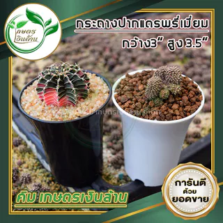 [แตกแคลมทันที]กระถางปากแตร 3,4,5 นิ้ว พรีเมี่ยม สวย ทน(งานไทย เงาสวย ไม่กรอบ) By.คิม เกษตรเงินล้าน