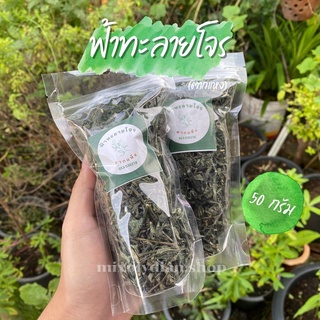 🌿ฟ้าทะลายโจรตากแห้ง 50 g สมุนไพรฟ้าทะลายโจร รวมทั้งใบทั้งก้าน พร้อมส่ง🌿