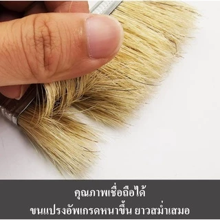 แปรงทาสี ขนาด 1 นิ้ว 1.5 นิ้ว 2 นิ้ว 2.5 นิ้ว 3 นิ้ว 4 นิ้ว (PAINT BRUSH 1" 1.5" 2" 2.5" 3" 4") ราคาถูกส่งตรง