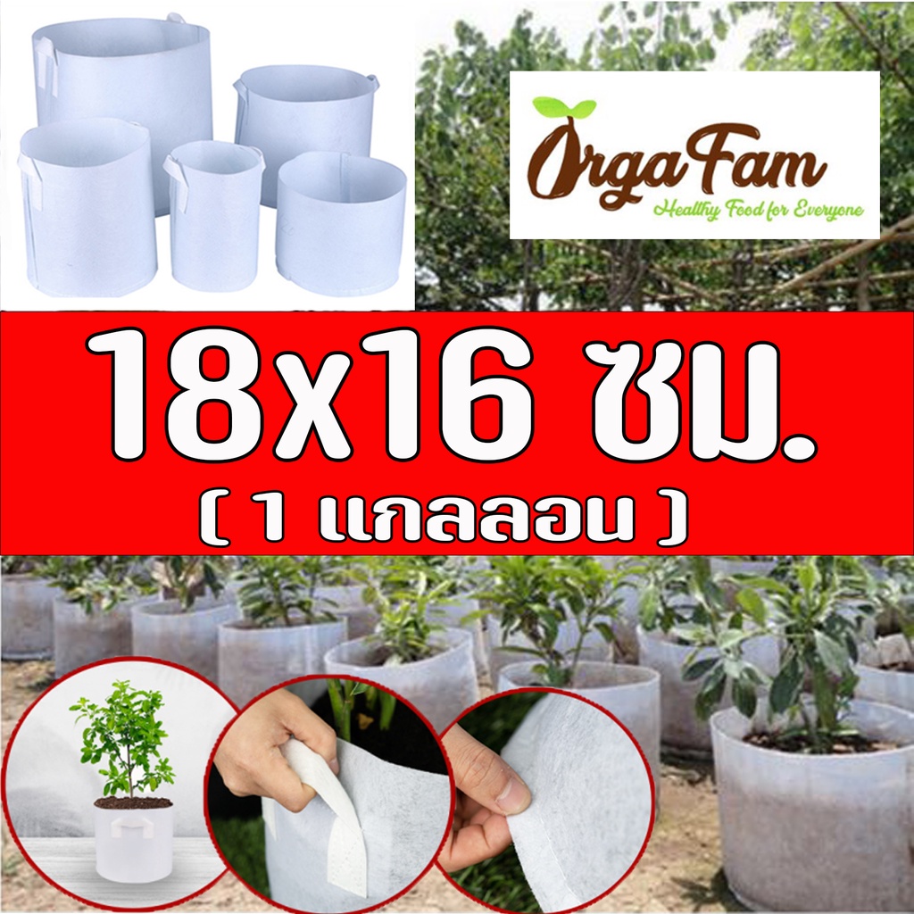 กระถางผ้า Smart pot ถุงผ้าปลูกต้นไม้ ถุงปลูกต้นไม้ โตไว รากแข็งแรง สีขาว ขนาด 18x16 ซม. (1แกลลอน) - [ 1 ชิ้น ]- Orgafam
