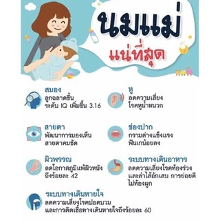 💥พิเศษ SET 3 กล่อง set เพิ่มน้ำนม หลังคลอดพร้อมส่ง