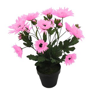 ต้นเดซี่ประดิษฐ์40เซนติเมตร สีชมพู ARTIFICIAL DAISY LALA HOME 40CM PINK