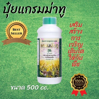 ปุ๋ยน้ำ แกรมม่าทู  500 cc ปุ๋ยทางใบ สูตรเร่งการเจริญเติบโต ปุ๋ยน้ำเร่งราก ปุ๋ยน้ำฉีดมัน ปุ๋ยน้ำเร่งหัว ปุ๋ยน้ำ