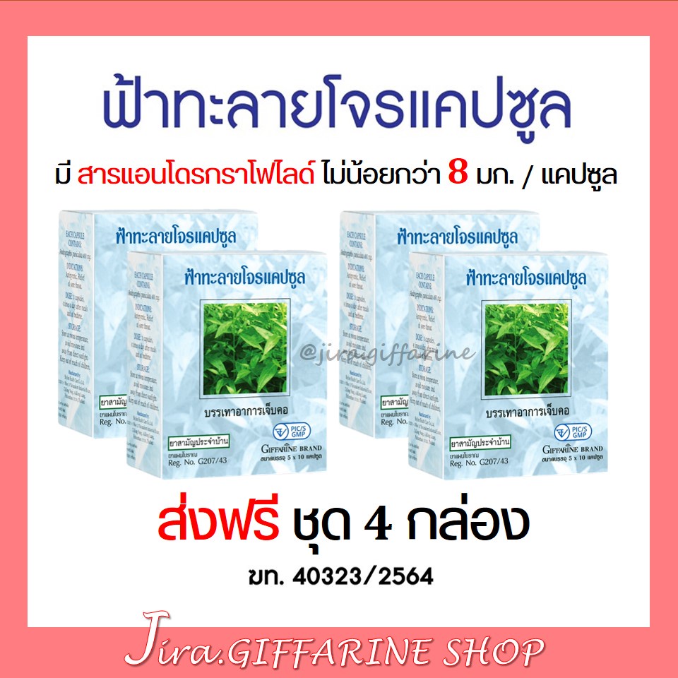 [ ส่งฟรี ชุด 4 กล่อง ] ฟ้าทะลายโจร กิฟฟารีน 50 แคปซูล เลขทะเบียนที่ G207/43