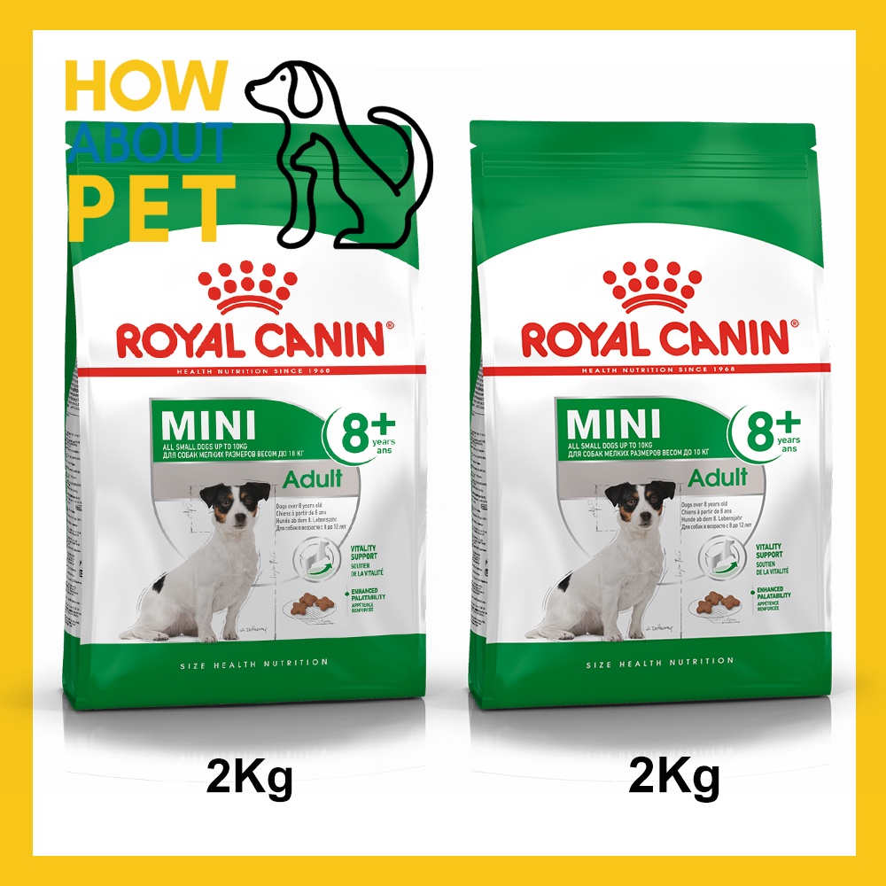 อาหารสุนัขเล็ก Royal Canin Adult Mini 8+ อาหารสุนัขแก่ พันธุ์เล็ก 2กก. (2ถุง) Royal Canin Mini Adult