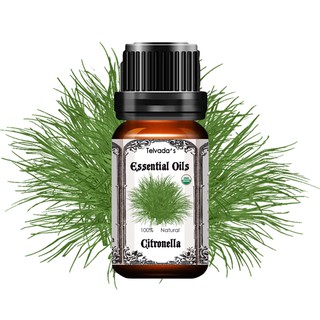 Citronella USDA Organic Essential Oil น้ำมันหอมระเหยตะไคร้หอม ออร์แกนิค