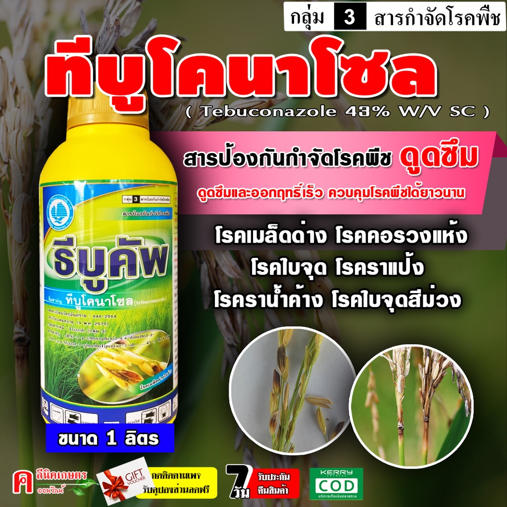 ธีบูคัพ-ทีบูโคนาโซล 43% SC ( 1 ลิตร ) ทีบูโคนาโซน สารป้องกันกำจัดโรคพืช ชนิดดูดซึม ออกฤทธิ์เร็ว ดูดซึมนาน โรคเมล็ดด่าง