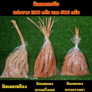 มิลเลตสเปร์ยแดง/เหลืองเกรด A มิลเลตแดงฝรั่งเศส สำหรับนกนานาชนิดและแฮมเตอร์ อาหารนก มิลเล็ตสเปร์ยแดง (200g/500g)
