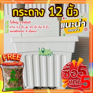 5แถม5 ฟรี🔸กาบมะพร้าวสับ กระถางต้นไม้ 12” กระถางขาว กระถางปลูกต้นไม้ กระถางพลาสติก เนื้อดี สวย มีรู