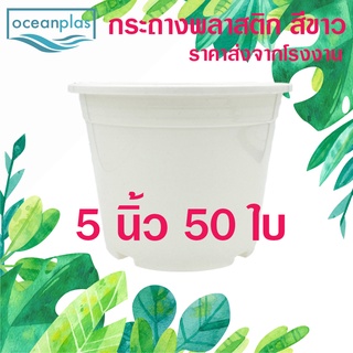 กระถางต้นไม้ กระถางแคคตัส ขนาด 5 นิ้ว สีขาว สีอิฐ (50ใบ)