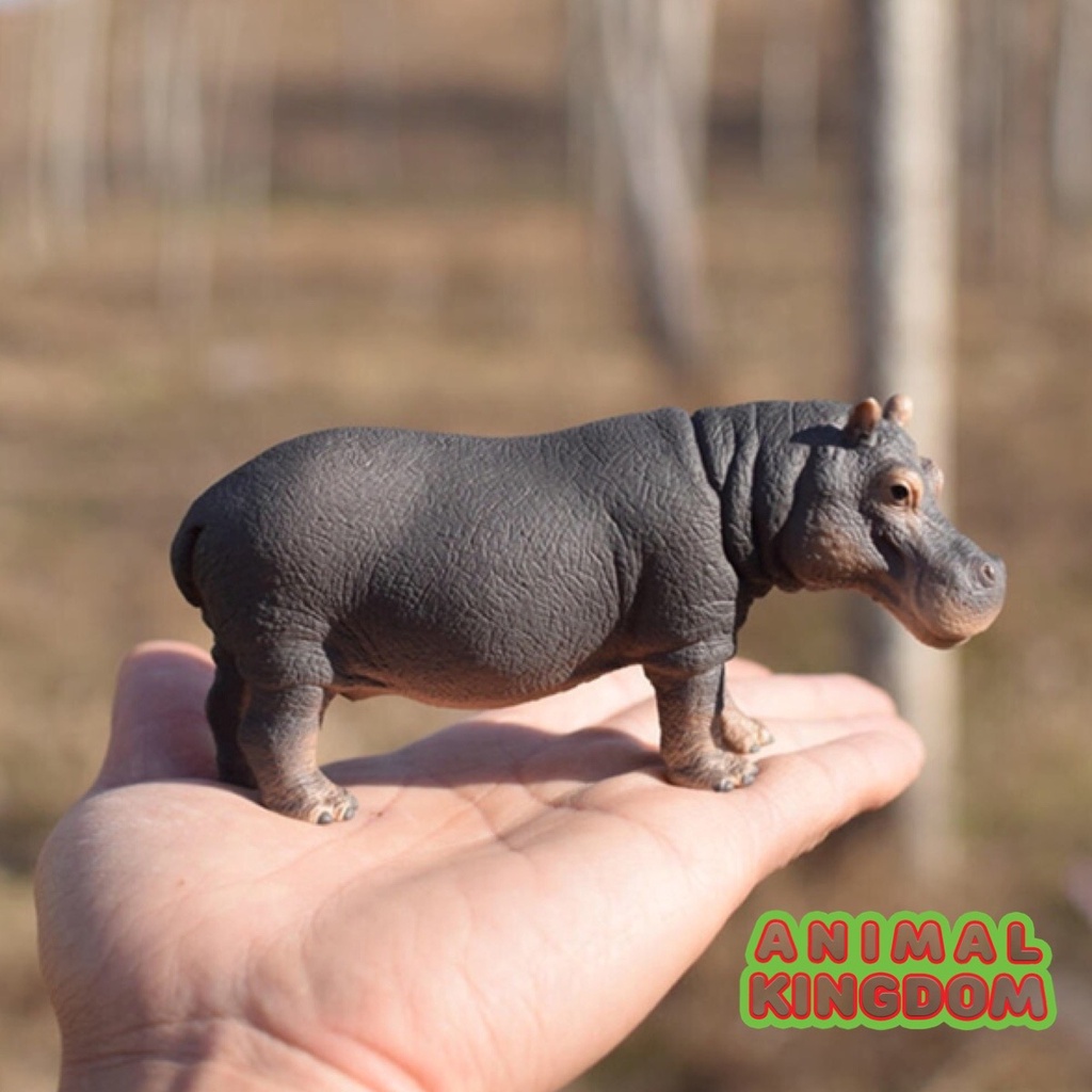 Animal Kingdom โมเดลสัตว์ Hippopotamus ฮิปโป ขนาด 12.60 CM (จากหาดใหญ่)