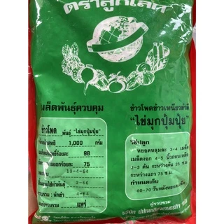 ข้าวโพดปุ้มปุ้ย ข้าวโพดข้าวเหนียวขาว 1 Kg ของใหม่ชัวร์ สิ้นอายุทำพันธ์ 05 / 70