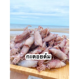 กระตอยต้ม ปลาหมึกแห้ง ปลาหมึกตากแห้ง อาหารทะเลแห้ง อาหารทะเลแปรรูป - Pailin seafood