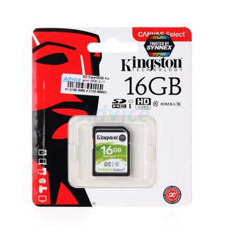 SD Card 16GB Class10 Kingston (SDS)