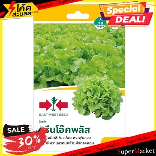 ผักกาดหอม(ผักสลัด) กรีนโอ๊คพลัส ศรแดง เมล็ดพันธุ์ GREEN OAK LETTUCE SEED EAST-WEST SEED ต้นไม้และเมล็ดพันธุ์