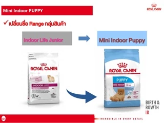 Royal Canin Indoor 500g Puppy, Adult, Senior ❤️🐶โรยัล คานิน สุนัขเลี้ยงในบ้าน ลูก,โต,สูงวัย 500g
