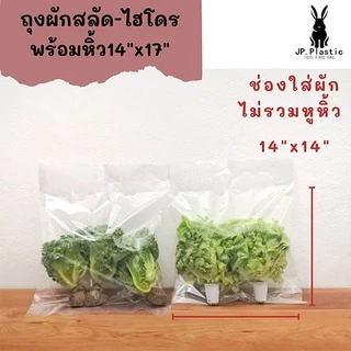 ถุงผักสลัด บรรจุผัก SaLad (1 กก.) ผักสลัดไฮโดร พร้อมหิ้ว ใช้คู่กับเครื่องซีล เนื้อพีอีPE LL ใส แช่แข็งได้ PE เหนียว นุ่ม