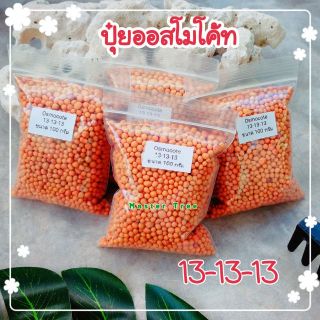 Mastercheech [แบ่งขาย 100 g.] ปุ๋ยออสโมโค้ท  13-13-13🇹🇭พร้อมส่ง🇹🇭