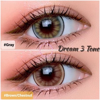 💫Wink : Dream 3 Tone ตาโต แบ๊ว สายตาปกติ -10.00