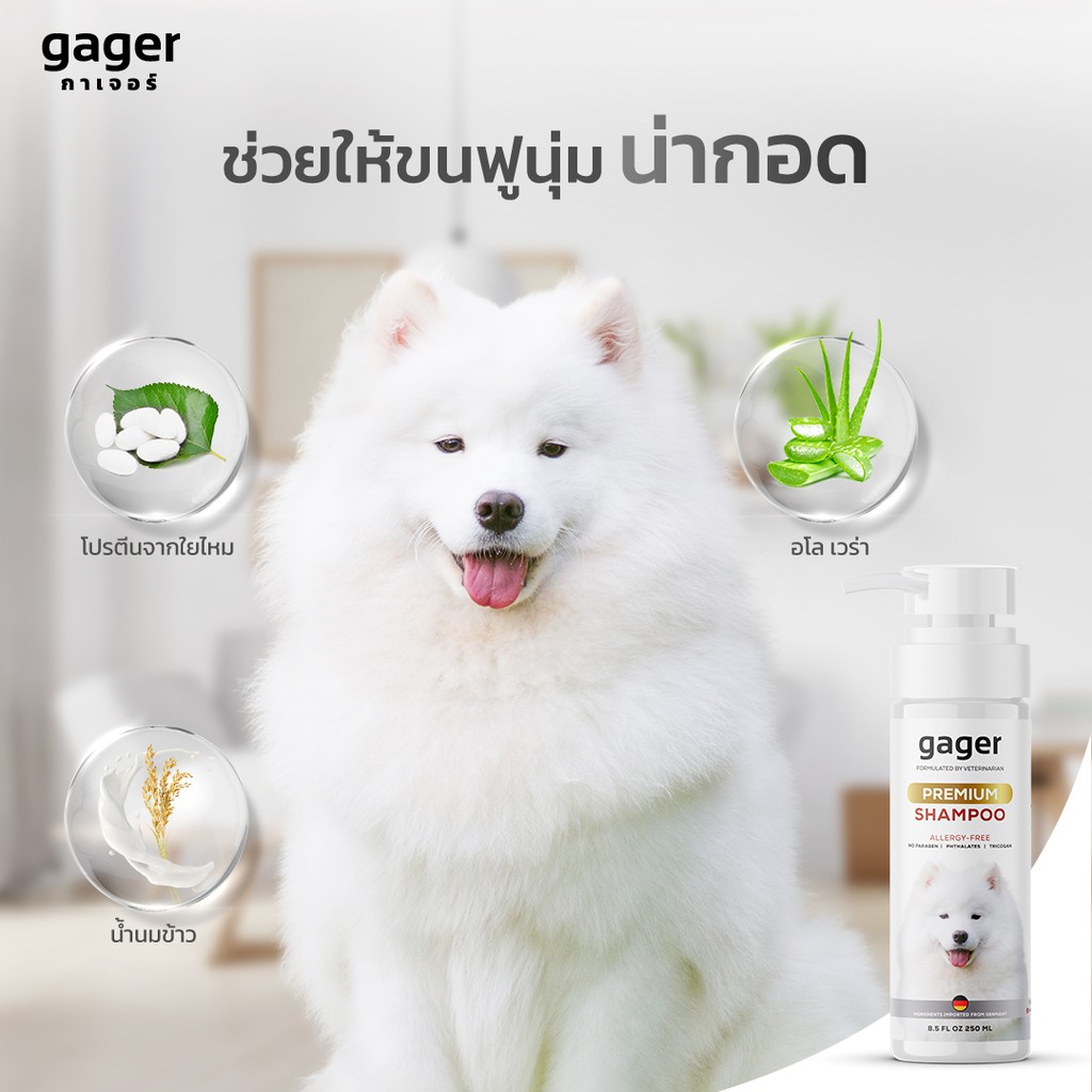 Gager (กาเจอร์) แชมพูหมา แชมพูอาบน้ำสุนัข สูตรบำรุงขน ขนนิ่ม สกัดจากน้ำนมข้าวออแกนิก อ่อนโยน เกรดพรี