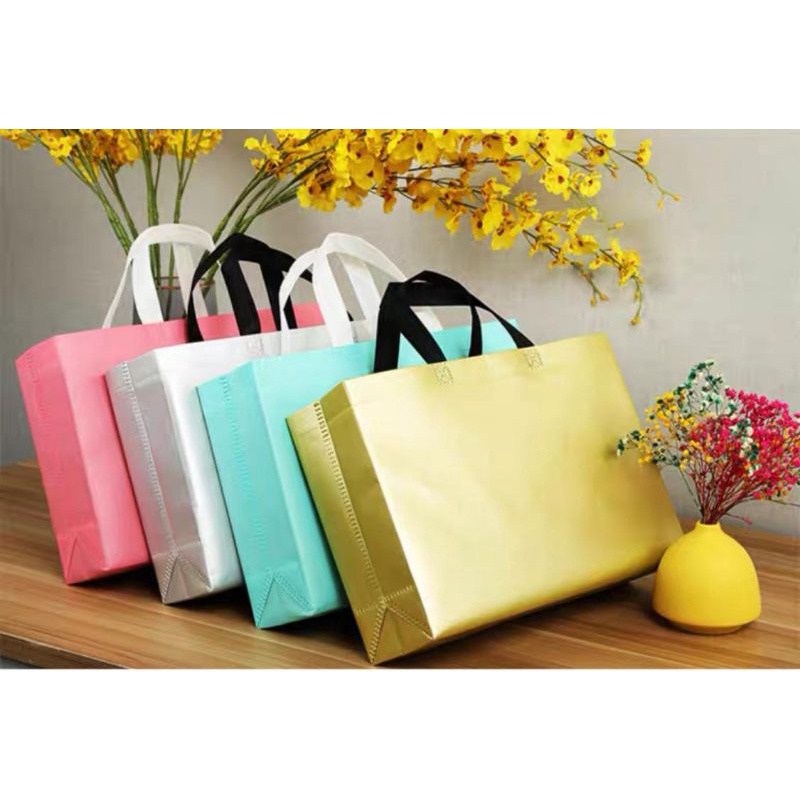 SG Coated Premium Non-Woven Bags Water Proof Bags Recycle Bags