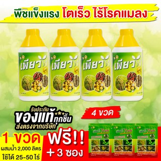 4ฟรี3 บำรุง ข้าว ผลไม้ พืชไร่ ยาง สินค้าเกษตรยอดนิยม อาหารเสริมพืช เพียว1 (จำนวน 4 ขวด+ฟรีเพียวเอ็กซ์)