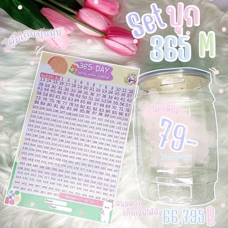 เซตปุกแผ่น 365 วัน ออม 66,796 ออมสินคละแบบ เลือกลายตารางออม