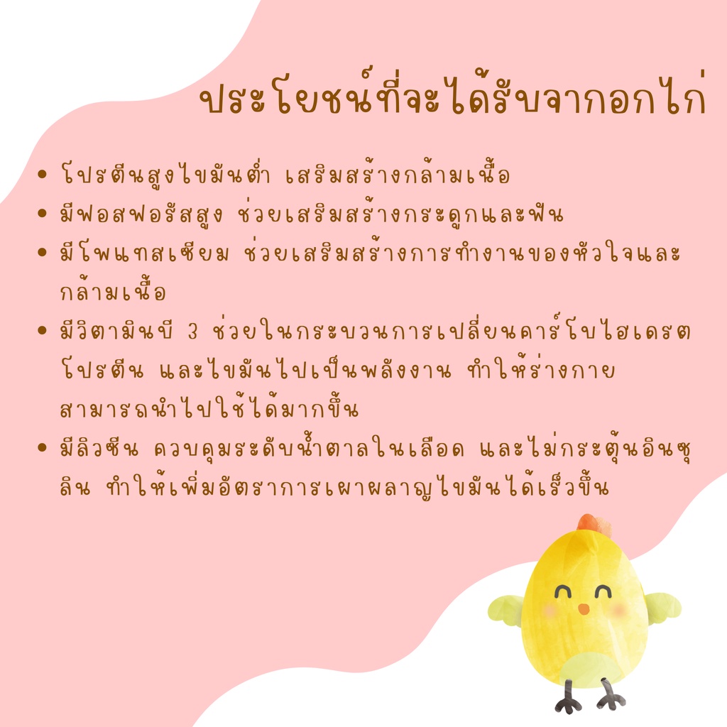 ผงอกไก่ Organic 100% สำหรับเด็ก 6 เดือนขึ้นไป ขนาดทดลอง 5 กรัม ราคา ถูกที่สุด ดีลบีเคเค แกลเลอรีภาพที่ 2