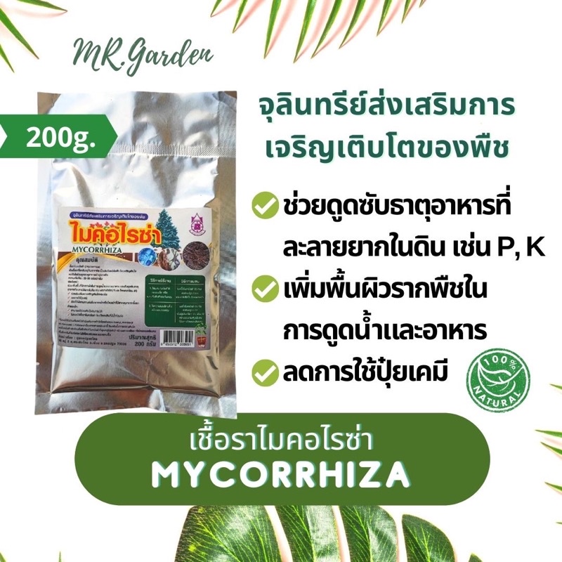 เชื้อราไมคอไรซ่า MYCORRHIZA 200g. ไมคอร์ไรซ่า เร่งราก เพิ่มการดูดซึมสารอาหาร