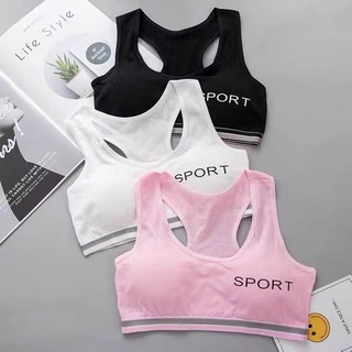 Daisybra sport 03 มีฟองน้ำ ฟรีไซส์ ชุดชั้นในกีฬา ยืดได้เยอะ คุณภาพดี ส่งวันเดียวถึง