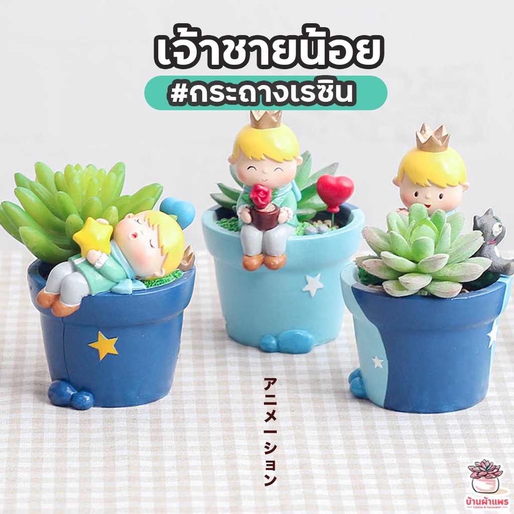 กระถางเรซิน เจ้าชายน้อย กระถางต้นไม้ แคคตัส กระบองเพชร ไม้อวบน้ำ Cactus&Succulent