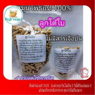 สมุนไพรผงเม็ดลูกใต้ใบขนาด 100 และ 500 เม็ด พร้อมส่ง