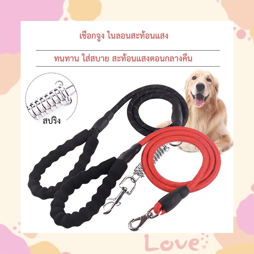 PP-031 สายจูงสัตว์เลี้ยงสำหรับสุนัขและแมว สายจูงพร้อมที่จับหุ้มโฟม EVA นุ่มสบายมือ เหมาะสำหรับสุนัขพันธุ์กลางถึงใหญ่