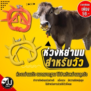 ห่วงหย่านมวัว🐄🐄 ✳️ขนาดไซส์มาตราฐาน✳️ *ส่งตรงจากไทย!!