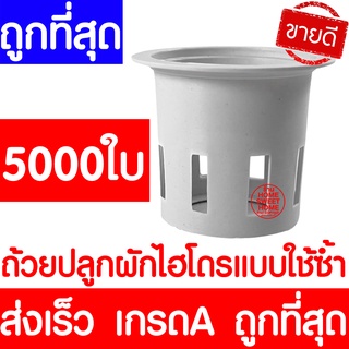 *clearance* ส่งไว ถ้วยปลูกผัก 5000ใบ ถ้วยขาวปลูกผัก ผักไฮโดรโปนิกส์ ผักไฮโดร ไฮโดร hydroponic hydro แบบใช้ซ้ำ ค่าส่งถูก