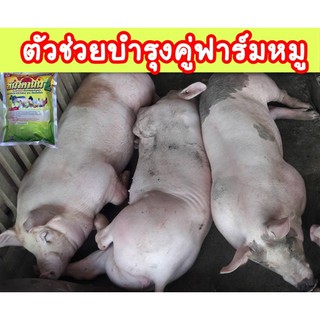 พรีมิกซ์หมู บำรุงหมูทุกระยะ หมูขุน หมูแม่พันธุ์พ่อพันธุ์ ลูกหมู เสริมวิตามินให้กับหมู ฟาร์มใช้จริง ชุดนี้ 6กิโล