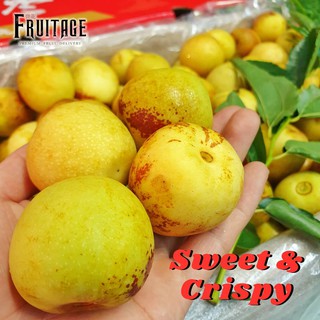 พุทราจีนสด พุทราช็อคโกแลต Jujube (1KG) (CHN) ~ลดพิเศษ~ ผลไม้สด เดลิเวอรี่ พุทราสด พุทราน้ำผึ้ง พุทราช๊อค ช๊อก ช็อกโกแลต