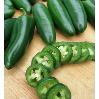 เมล็ดพริกจาราปิโน่ (Jalapeno Pepper) 100 มล็ด พริกแม็กซิกัน สายพันธุ์ OP