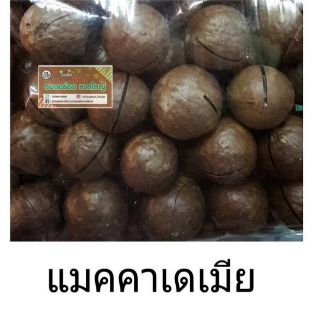 แมคคาเดเมียอบบรรจุถุงซิบล็อคพร้อมที่แกะเปลือก 500g.