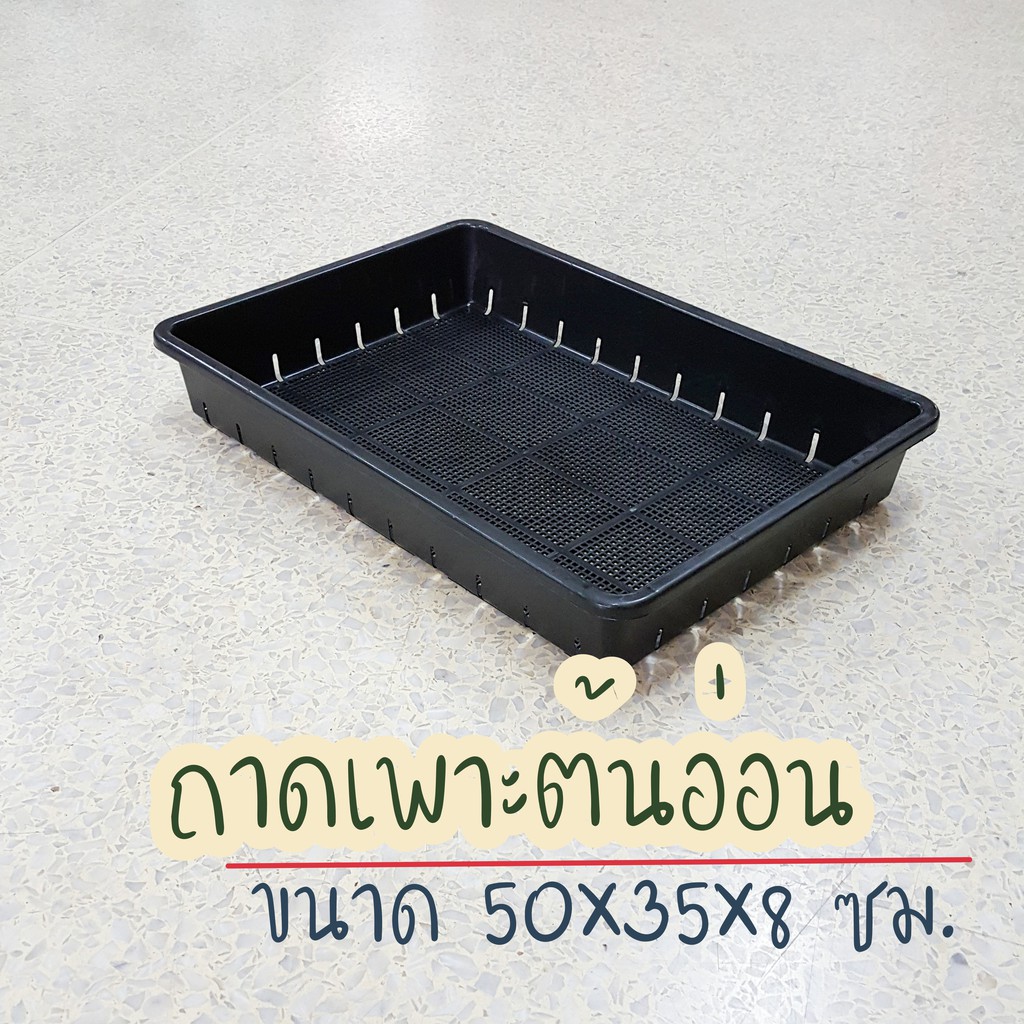 Best saller ถาดเพาะต้นอ่อน ถาดไดโซะ ตะกร้าเพาะต้นกล้า แคดตัส ขนาด 50x35x8 ซม. เมล็ดฟ้าทะลายโจร เมล็ดแคนตัส เมล็ดผัก เมล็ดพืช กล้วยไม้