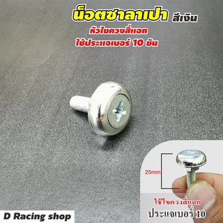 ชุดน็อต สีเงิน น็อตเบอร์10 (1ชุด10ตัว) ใหม่ล่าสุด