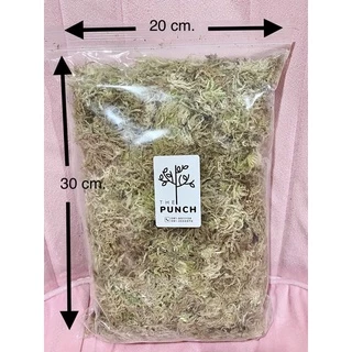 สแฟกนั่มมอส fresh (sphagnummoss) 200 กรัม
