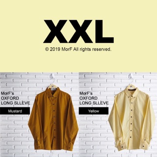 XXL, XXXL Oxford shirt เสื้อเชิ้ต แขนยาว คอปก สีเหลือง