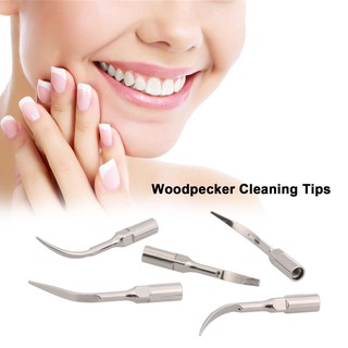 C &amp; R Woodpecker Cleaning Tips Dental Perio Scaler Tip Air Scaler Tip Scaling Working Tip G1 G2 G3 G4 G5